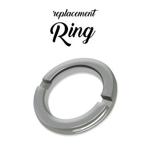 Stainless Steel Disc Retaining Ring