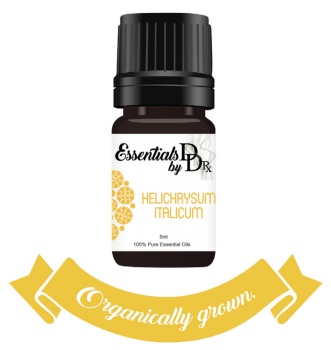 Organic Helichrysum Italicum (immortelle) Essential Oil 5 ml